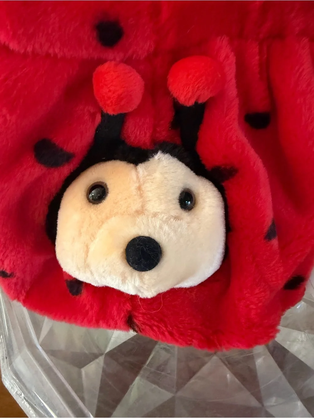 Celebrate Halloween Vintage Lady Bug Plush Basket CUTE!